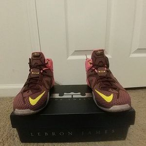 LeBron xii